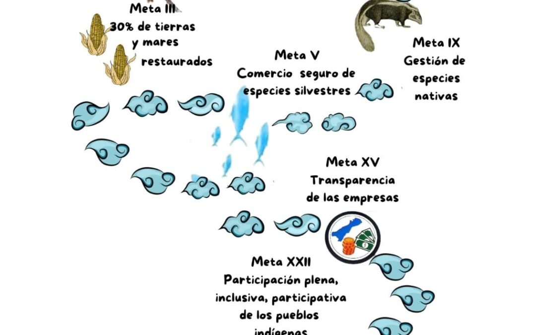 Plan de incidencia “Ainmaja Woümain-Cuidar nuestra tierra”, en comunidades de La Guajira y Alta Guajira, Colombia