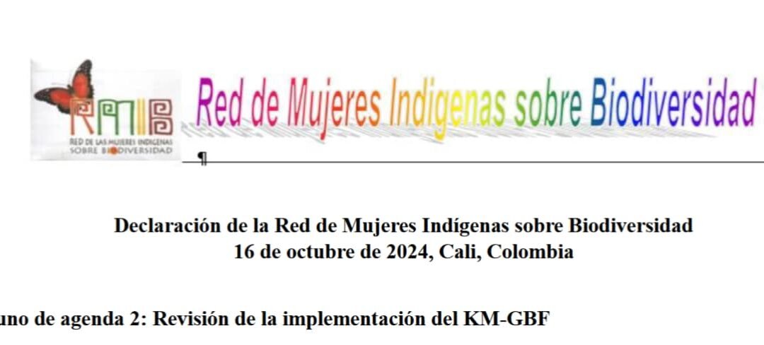 Declaración de la RMIB-LAC en SBI-5 sobre el Punto de la agenda 2: Revisión de la implementación del Marco Mundial Kunming-Montreal