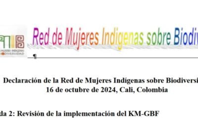 Declaración de la RMIB-LAC en SBI-5 sobre el Punto de la agenda 2: Revisión de la implementación del Marco Mundial Kunming-Montreal