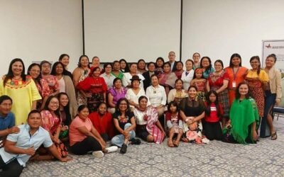 Declaración de las mujeres indígenas de América Latina y El Caribe – Abya Yala hacia la COP-16