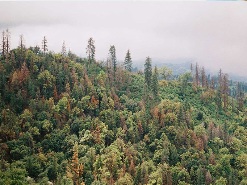 Proteccion de la biodiversidad y territorio