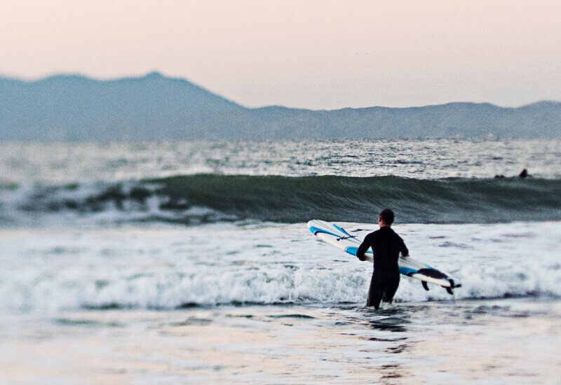 Protección de la biodiversidad y territorio